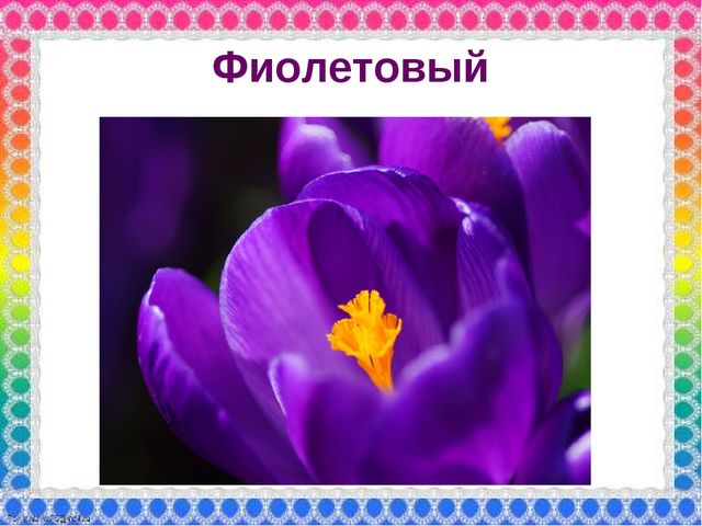 О роли ЦВЕТА в жизни человека