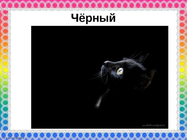 О роли ЦВЕТА в жизни человека