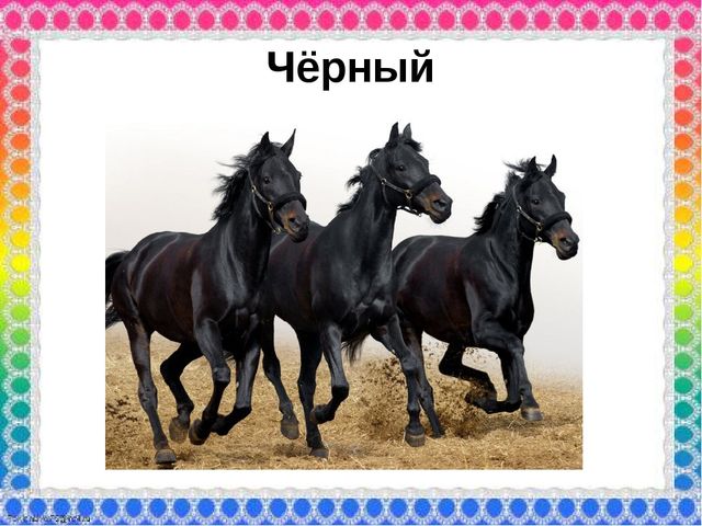 О роли ЦВЕТА в жизни человека