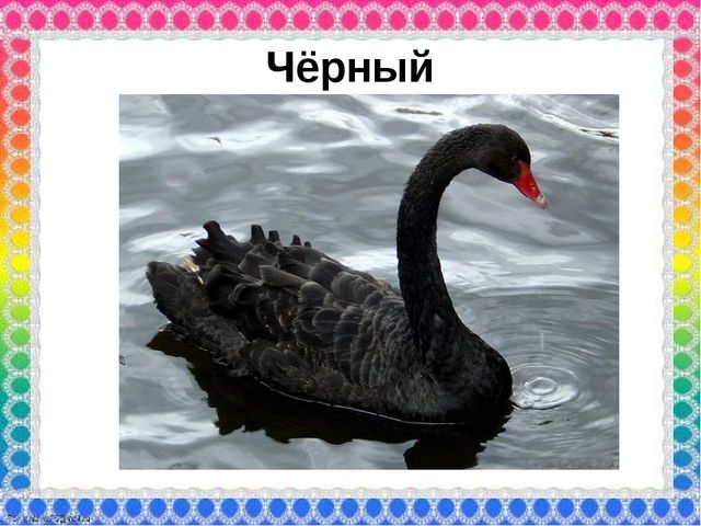 О роли ЦВЕТА в жизни человека