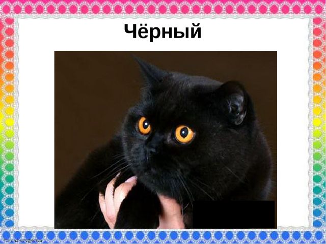 О роли ЦВЕТА в жизни человека