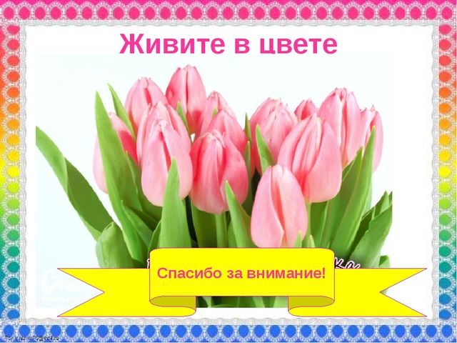 О роли ЦВЕТА в жизни человека
