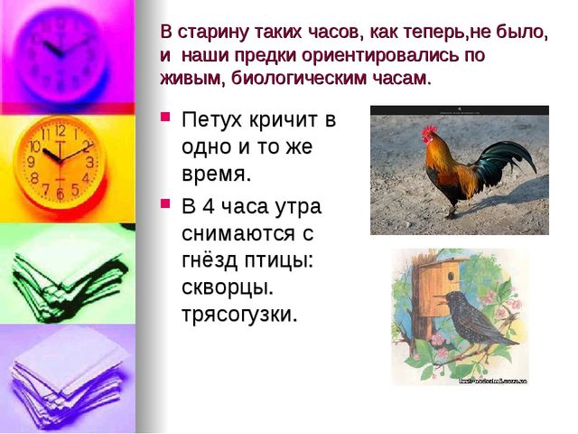 Знакомство со временем. Презентация для детей