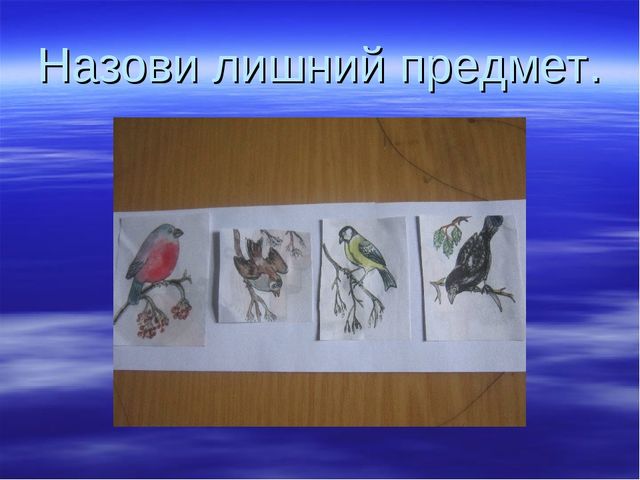 Птицы прилетели-весну принесли. Презентация для детей