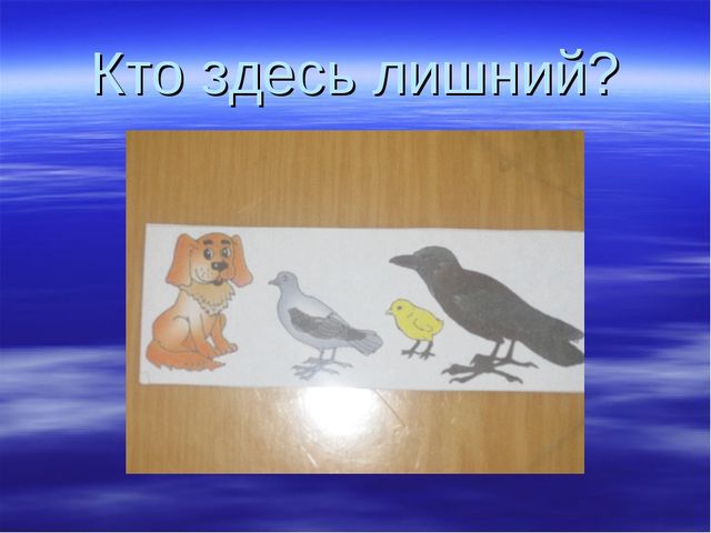 Птицы прилетели-весну принесли. Презентация для детей