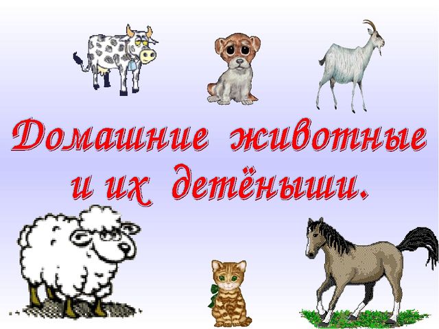 Домашние животные и их детёныши. Презентация для дошкольников