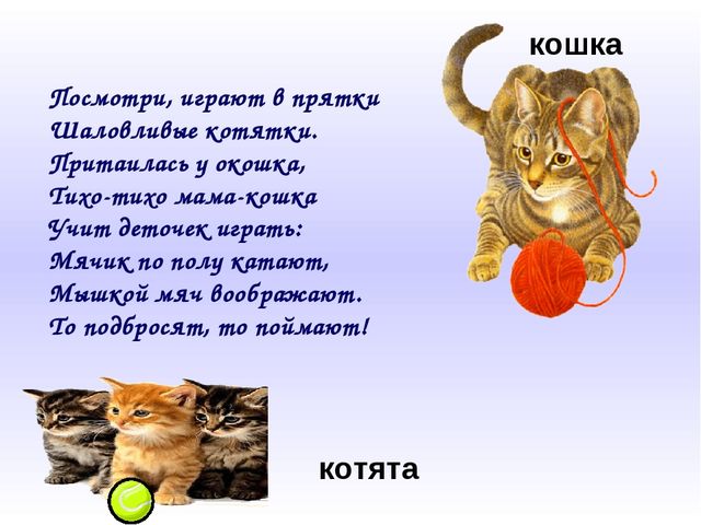 Домашние животные и их детёныши. Презентация для дошкольников