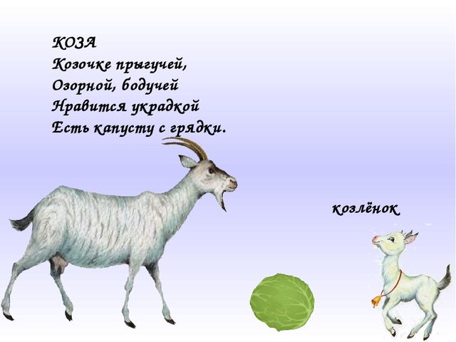 Домашние животные и их детёныши. Презентация для дошкольников