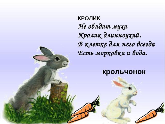Домашние животные и их детёныши. Презентация для дошкольников