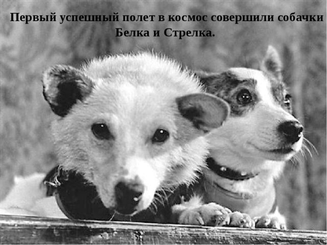 Презентация к занятию «Путешествие с Лунтиком»