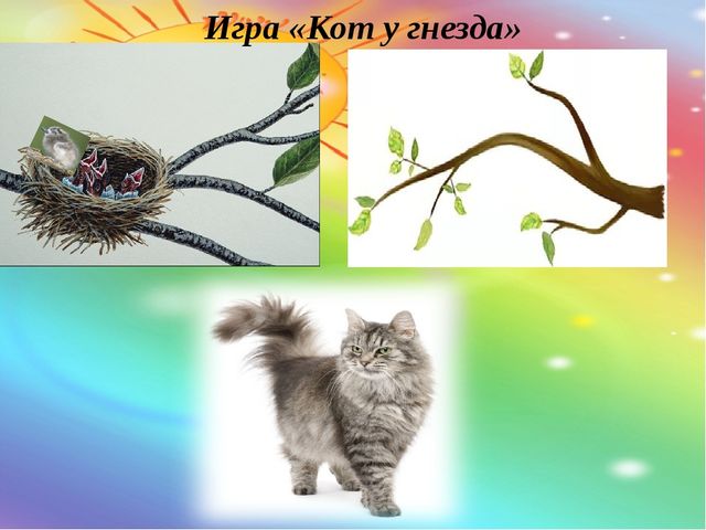 Внутри, снаружи. Презентация по математике для детей (5-6 лет)