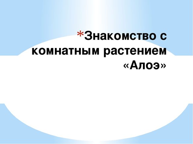 Знакомство детей с комнатными растениями