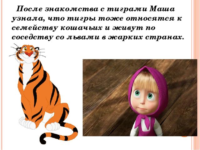 Осенние приключения. Презентация по окружающему миру