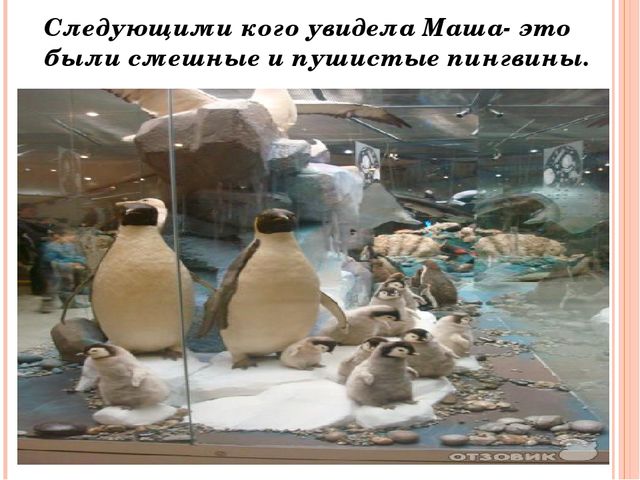 Осенние приключения. Презентация по окружающему миру