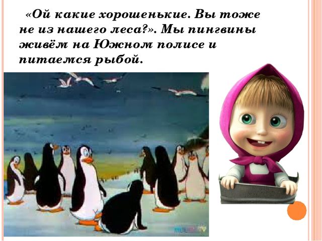 Осенние приключения. Презентация по окружающему миру