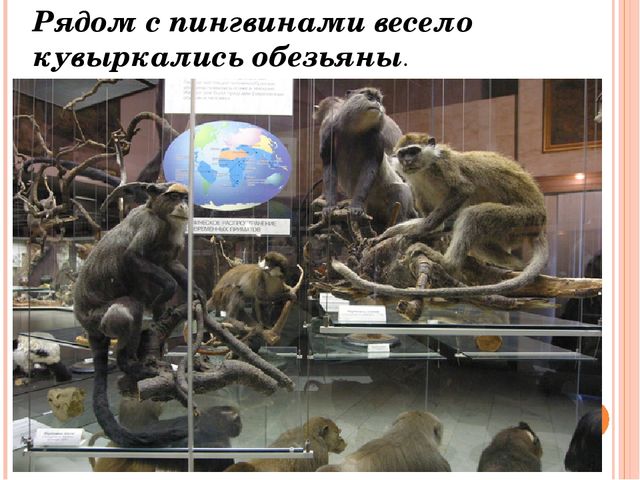 Осенние приключения. Презентация по окружающему миру