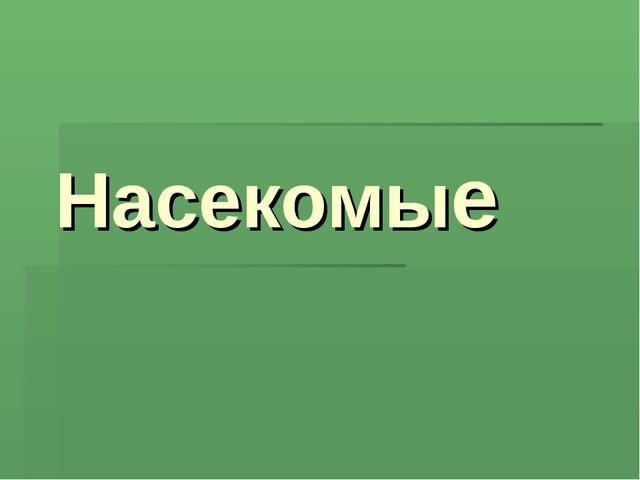 Презентация для детей дошкольников. Насекомые