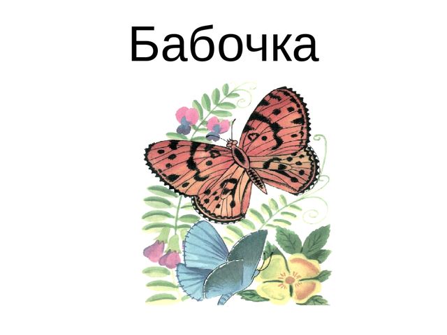 Презентация для детей дошкольников. Насекомые