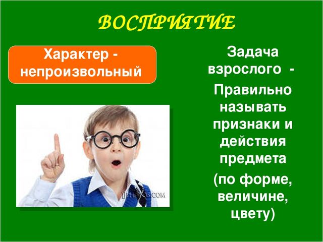 Возрастные особенности детей 2-3 лет