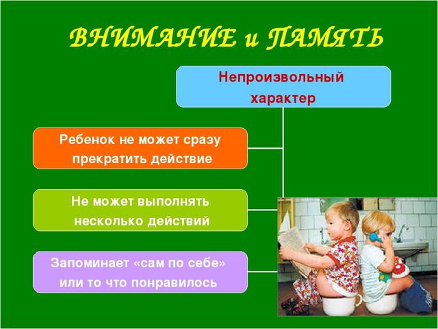 Возрастные особенности детей 2-3 лет