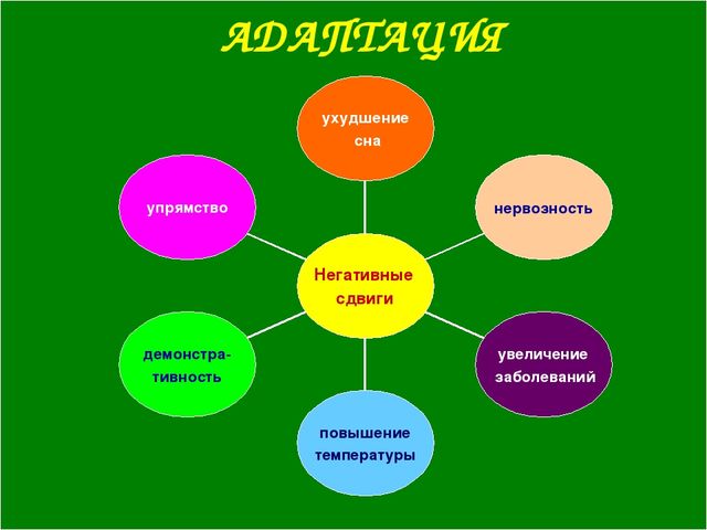 Возрастные особенности детей 2-3 лет