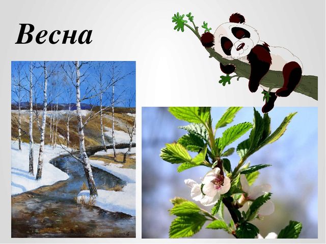 Весенний пейзаж. Презентация по рисованию для детей 6-7 лет