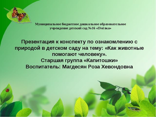 Как животные помогают человеку. Презентация к конспекту по ознакомлению с природой в детском саду