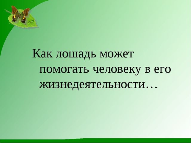 Как животные помогают человеку. Презентация к конспекту по ознакомлению с природой в детском саду