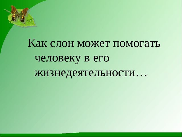 Как животные помогают человеку. Презентация к конспекту по ознакомлению с природой в детском саду