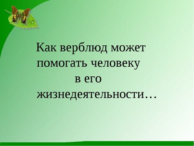 Как животные помогают человеку. Презентация к конспекту по ознакомлению с природой в детском саду