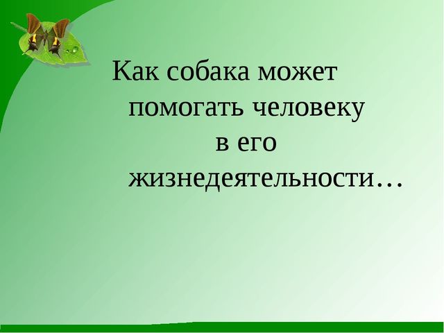 Как животные помогают человеку. Презентация к конспекту по ознакомлению с природой в детском саду