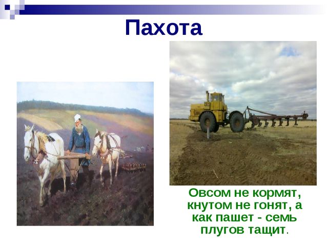 Хлеб всему голова. Презентация к ООД