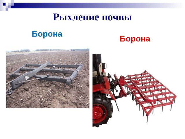 Хлеб всему голова. Презентация к ООД