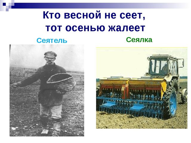 Хлеб всему голова. Презентация к ООД