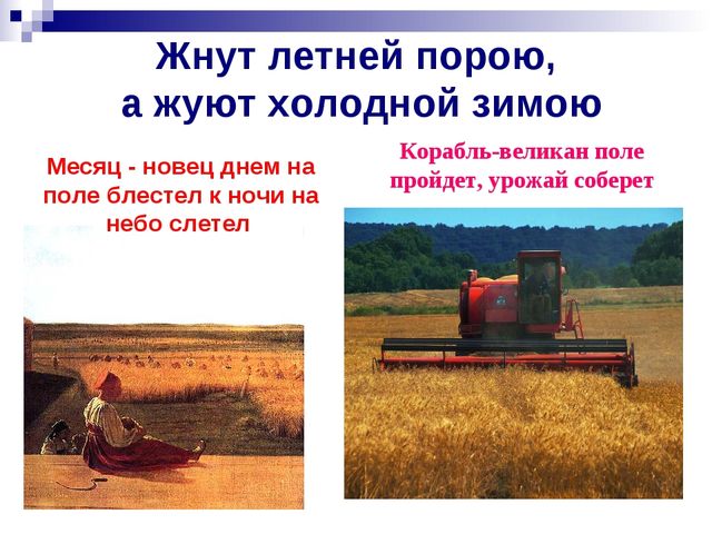 Хлеб всему голова. Презентация к ООД
