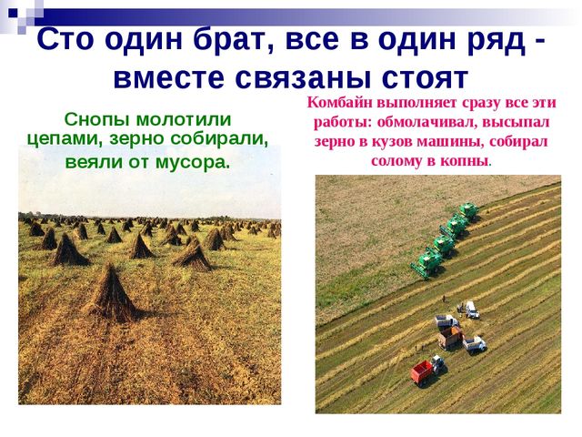 Хлеб всему голова. Презентация к ООД