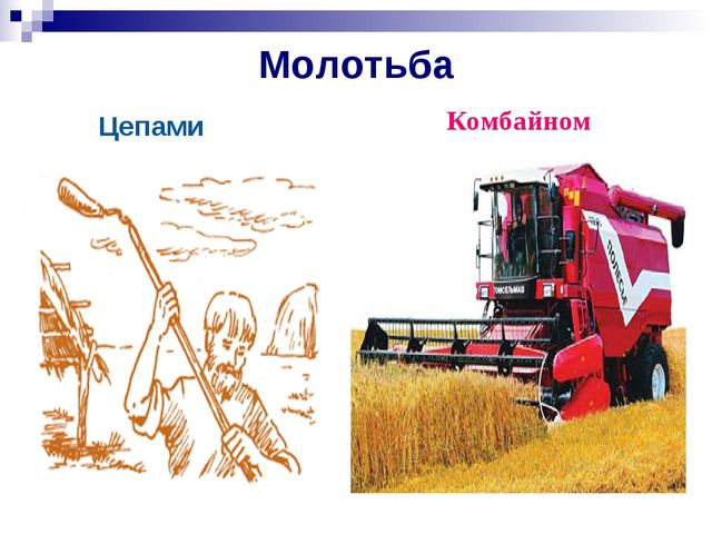 Хлеб всему голова. Презентация к ООД