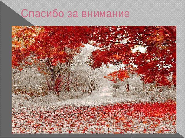 Одежда, обувь, головные уборы. Презентация по лексической теме
