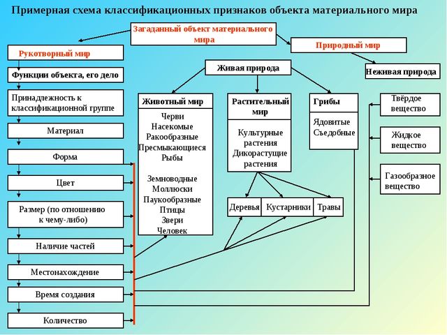 Схема объект имя признаки