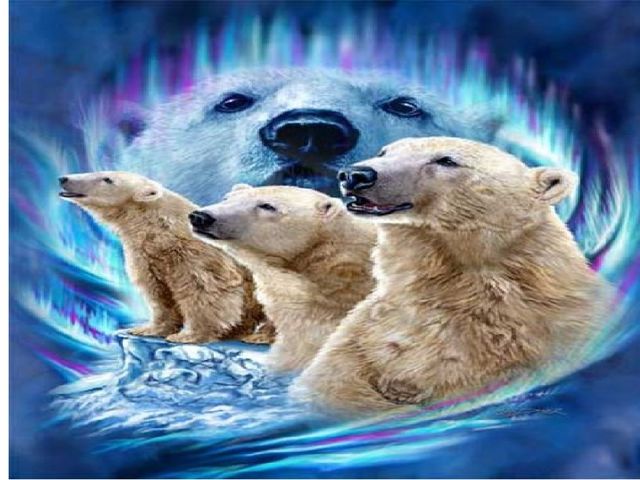 Сколько животных нарисовано на картинке. Презентация на развитие внимания