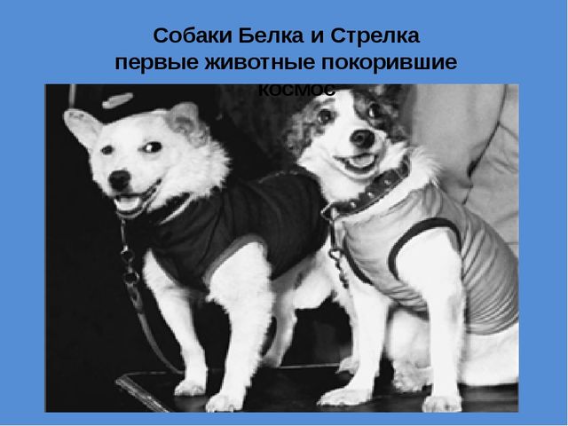 Презентация для дошкольников. День космонавтики