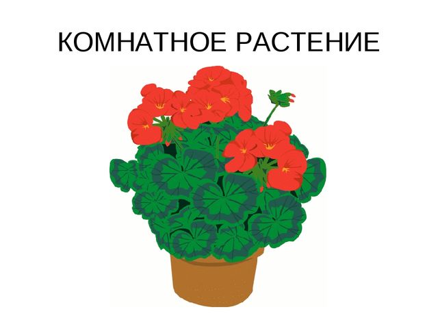 Предметы в доме. Презентация для детей