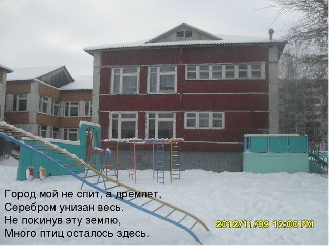 Презентация для детей. Птицы нашего города