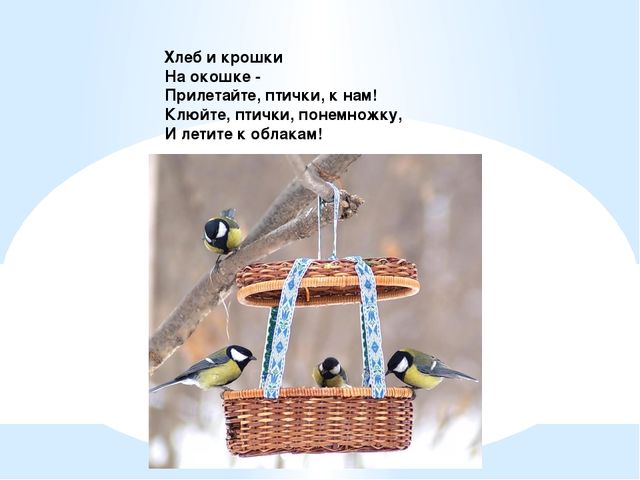 Презентация для детей. Птицы нашего города