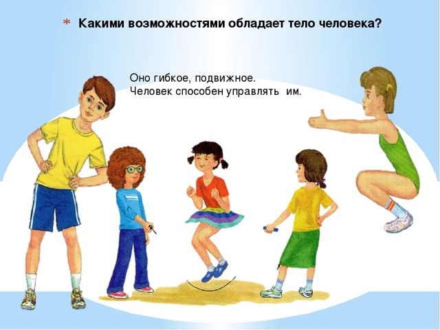 Презентация. Тело человека