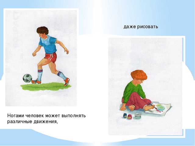 Презентация. Тело человека