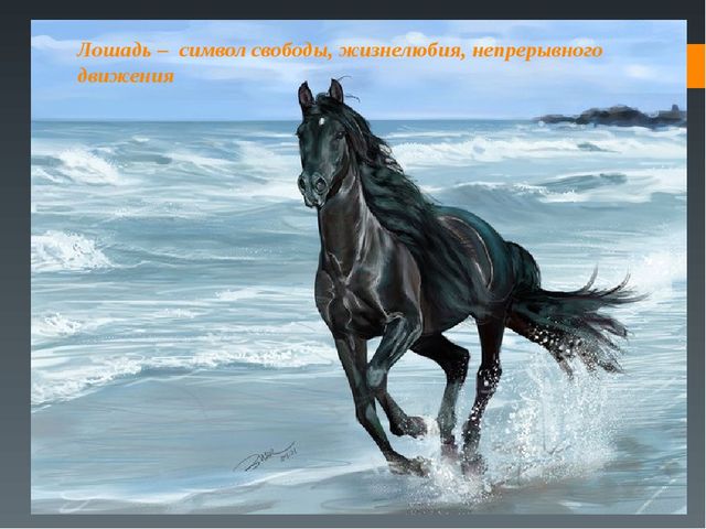 Особенные люди. Презентация (подготовительная группа)