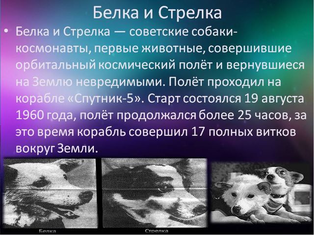 Конспект открытого занятия в старшей группе «Большое космическое путешествие»