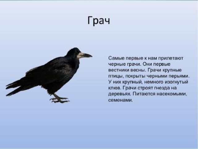 Приобщение детей к истокам русской народной культуры