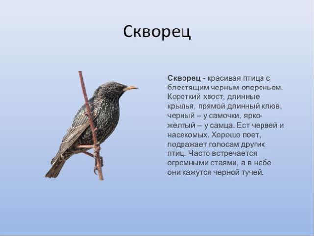 Приобщение детей к истокам русской народной культуры